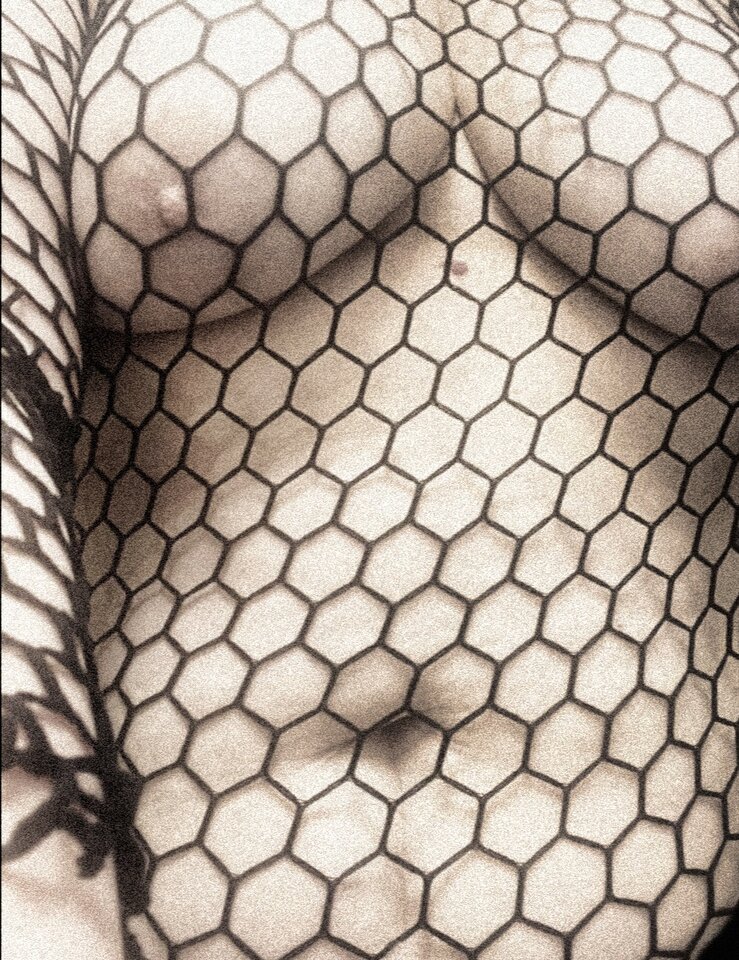 2024-10-13-12-47-50-082.jpg - agrofun