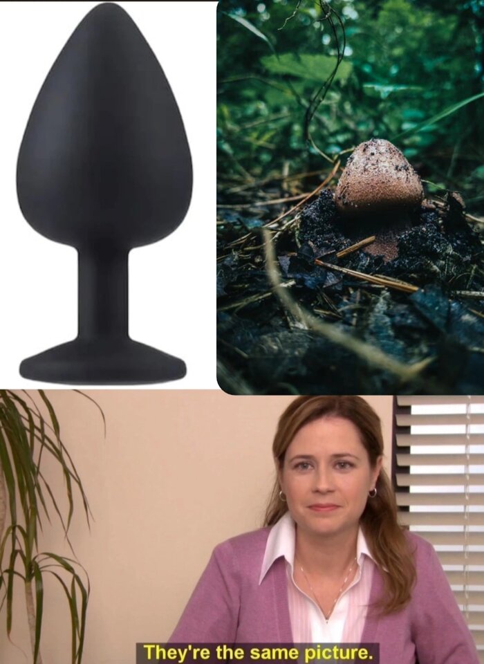 IMG_20241013_161212_114.jpg - Dr_Devill