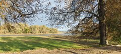 IMG_20241013_164121.jpg