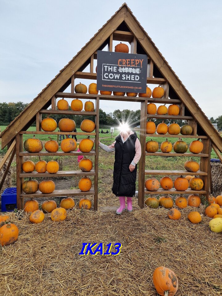 20241013_123706.jpg - ika13