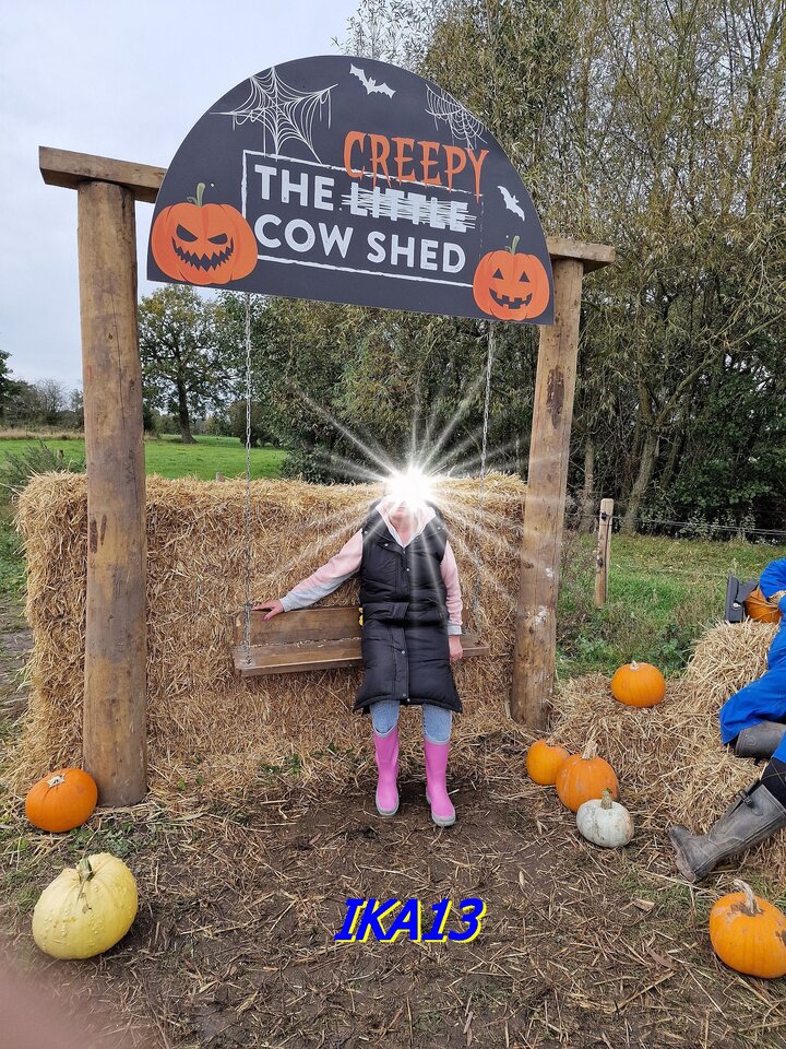 20241013_125523.jpg - ika13