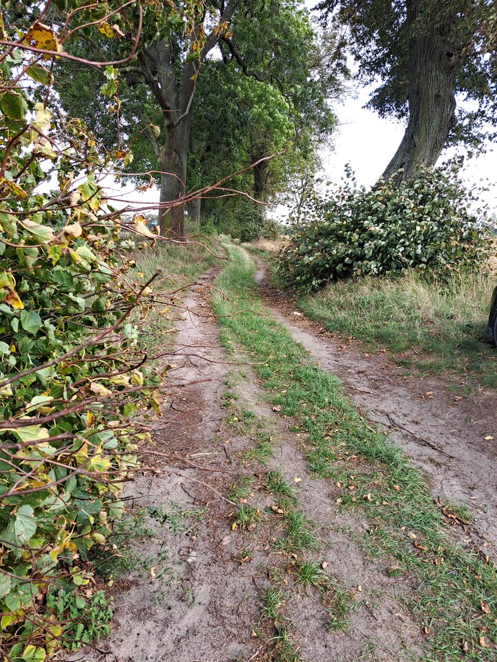 1000026769.jpg - arcik197505