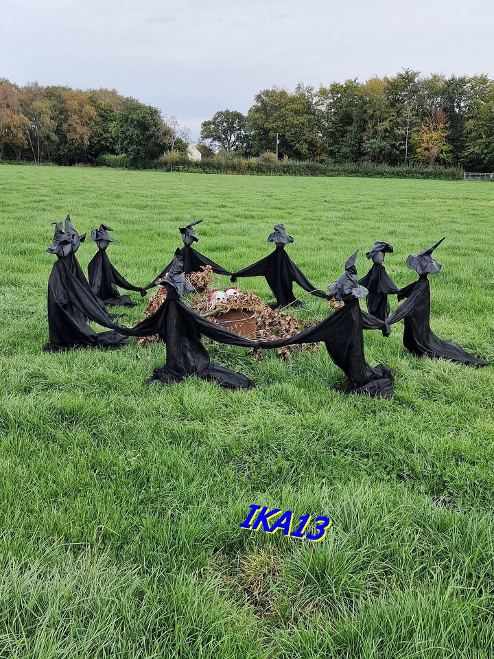 20241013_130024.jpg - ika13