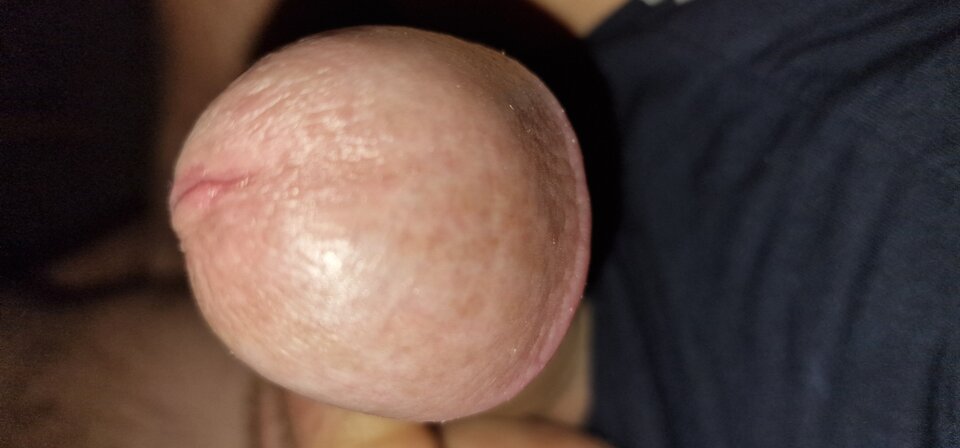 17288750315528438579529103715795.jpg - robin266