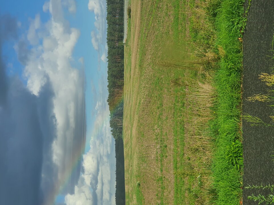 20220918_153508.jpg - Roberto0o86