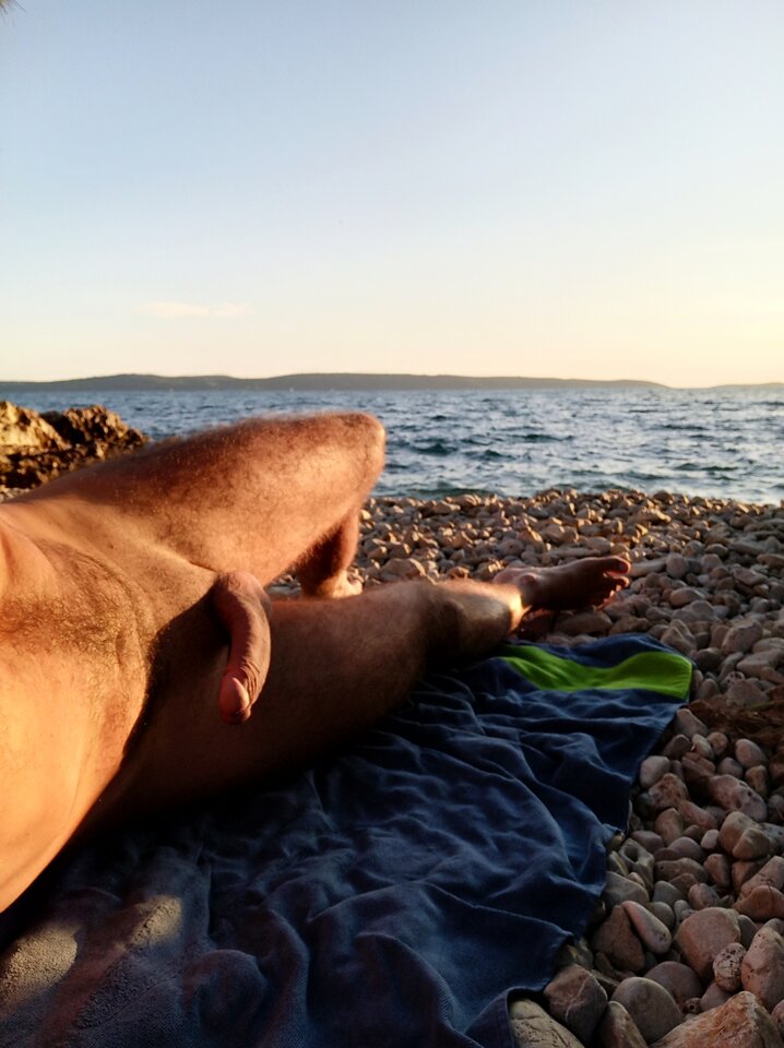 IMG_20241014_151431.jpg - cvrcak