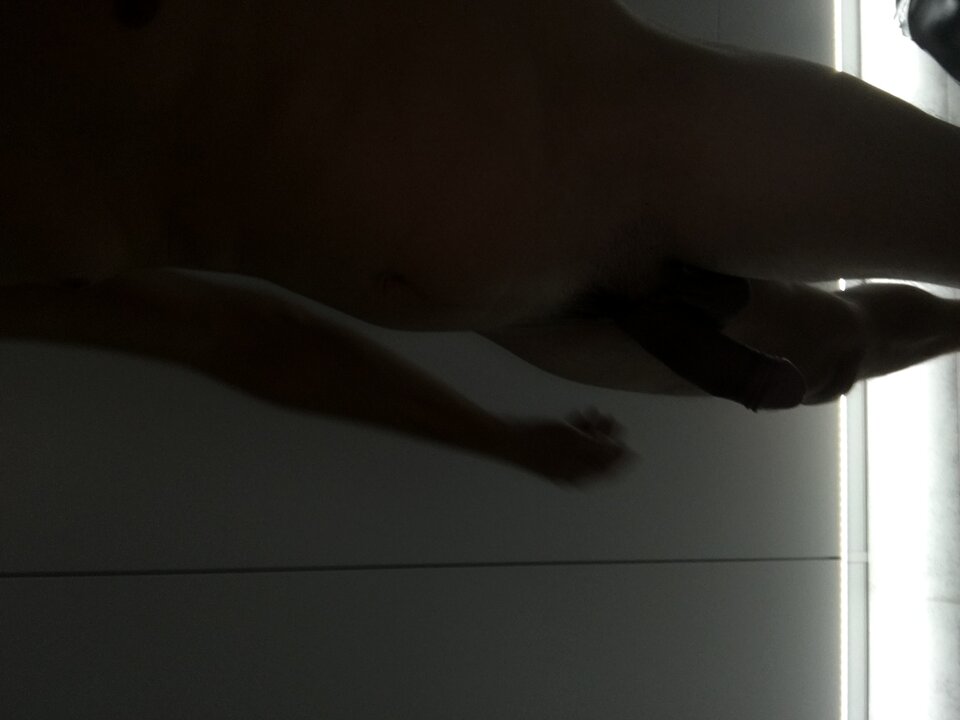 image.jpg - DYSKRETREALXXX