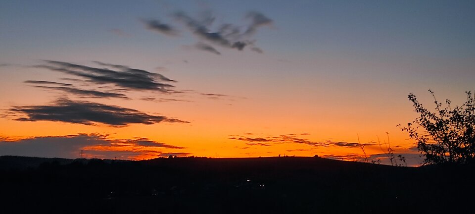 IMG_20241014_182243.jpg - NicponieFest