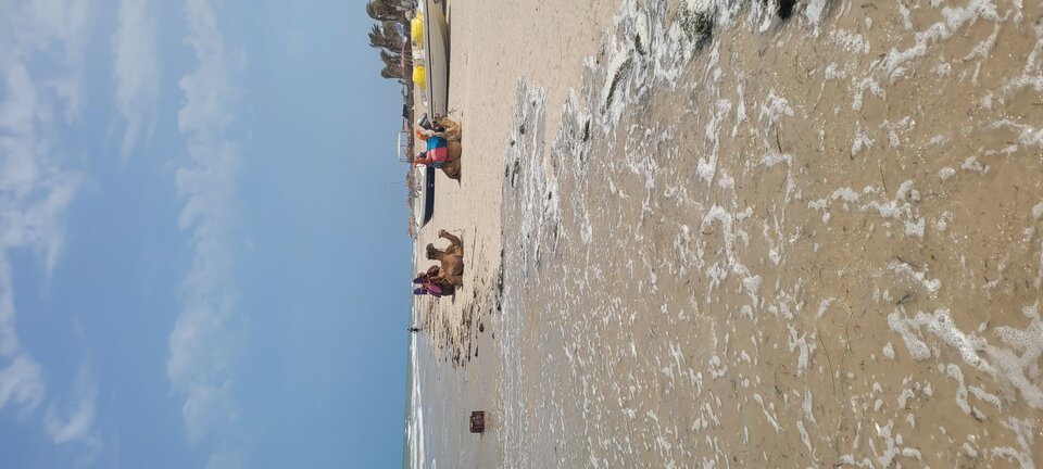 20230828_125528.jpg - marcin7809