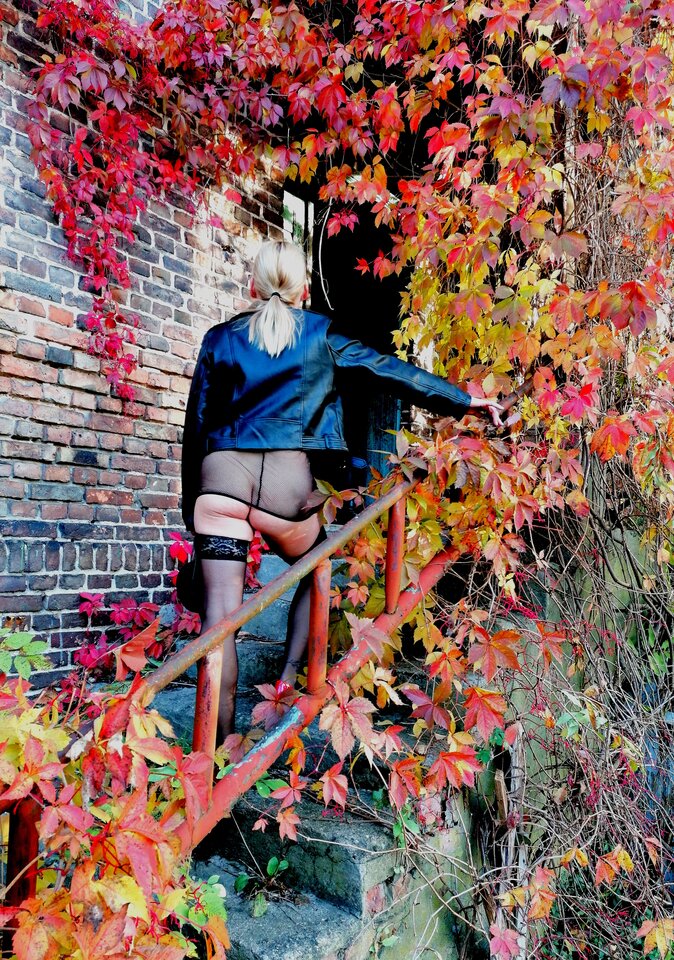 IMG_20241012_083257_edit_165330548449771.jpg - 76Para75