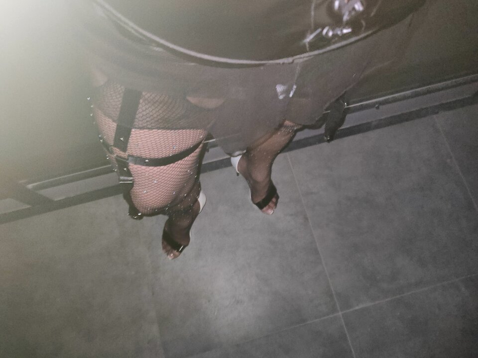 IMG20230322035601.jpg - paulstarkface