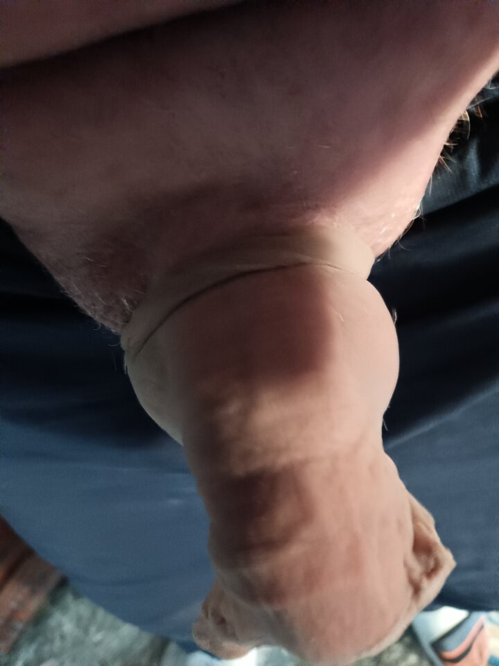 IMG_20241015_085349_539.jpg - robekBi