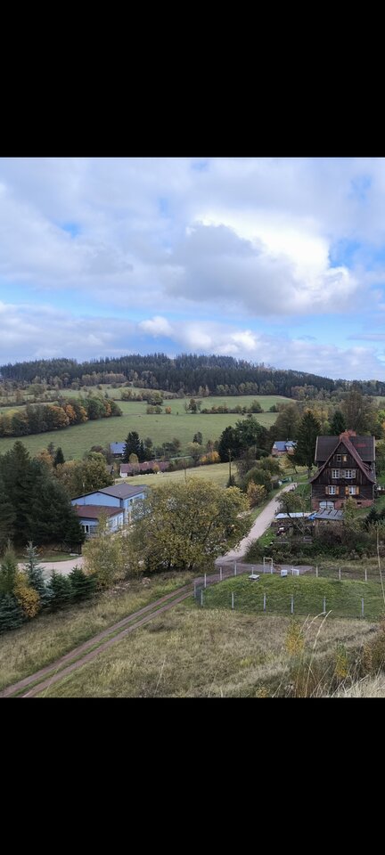 1000002549.jpg - szary_wilk_
