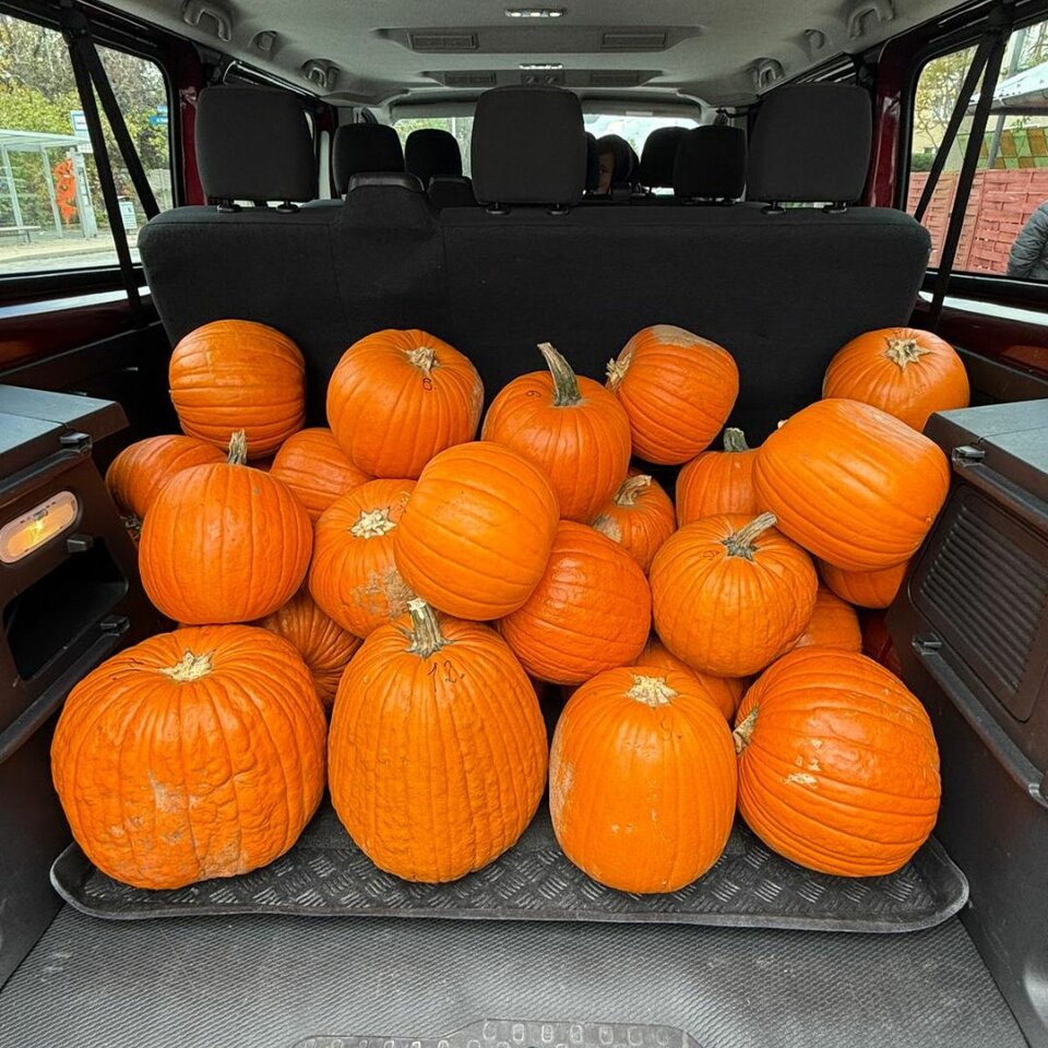 🎃26.10. Halloween🎃 - Origamiclub