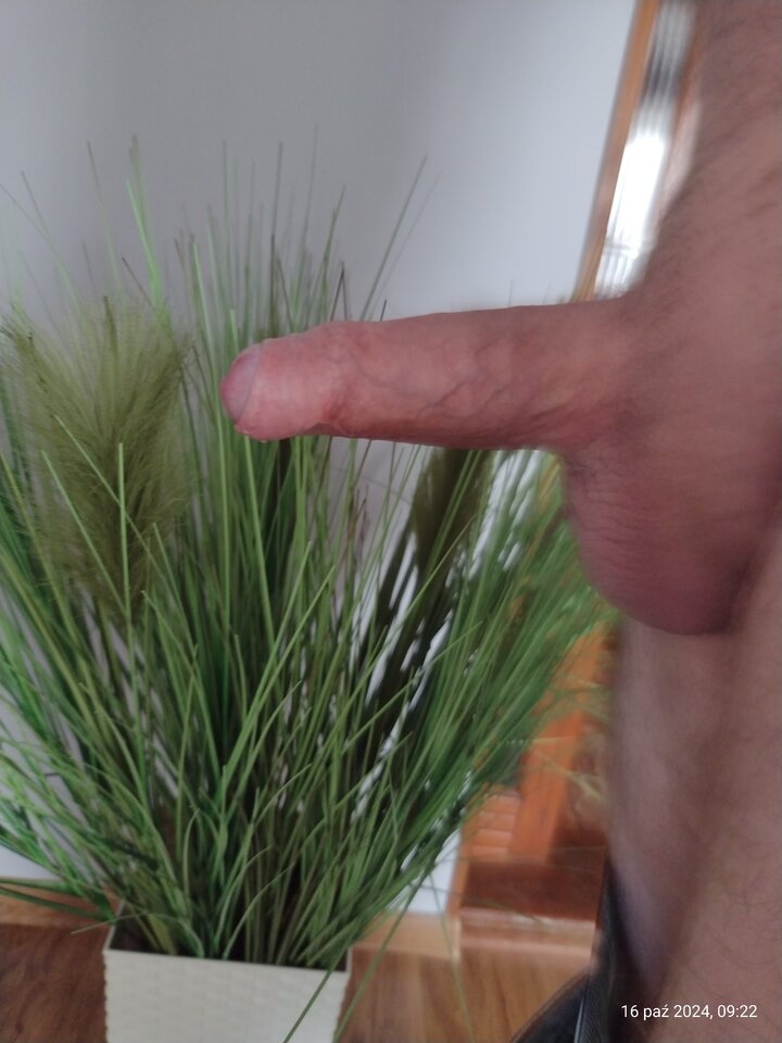 17290633650013366216955560039503.jpg - DajeWam