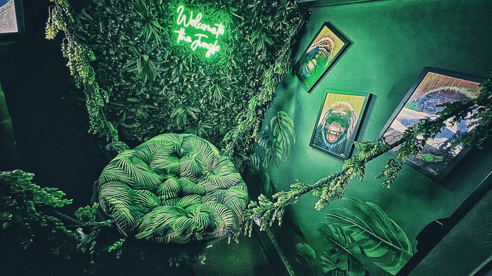 JUNGLE - PURPUR_ZMYSLY