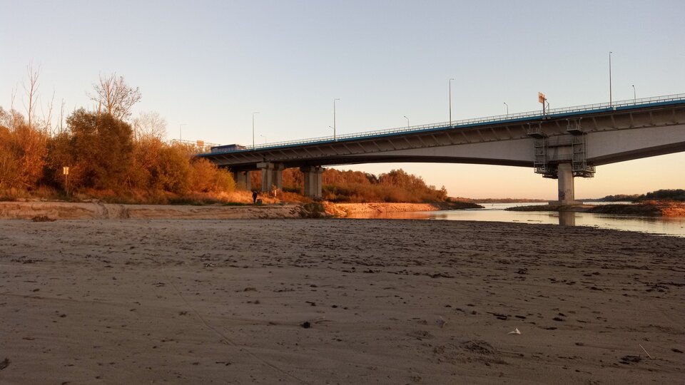 IMG_20241016_171949_379.jpg - pioteer