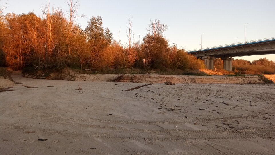 IMG_20241016_172219_047.jpg - pioteer