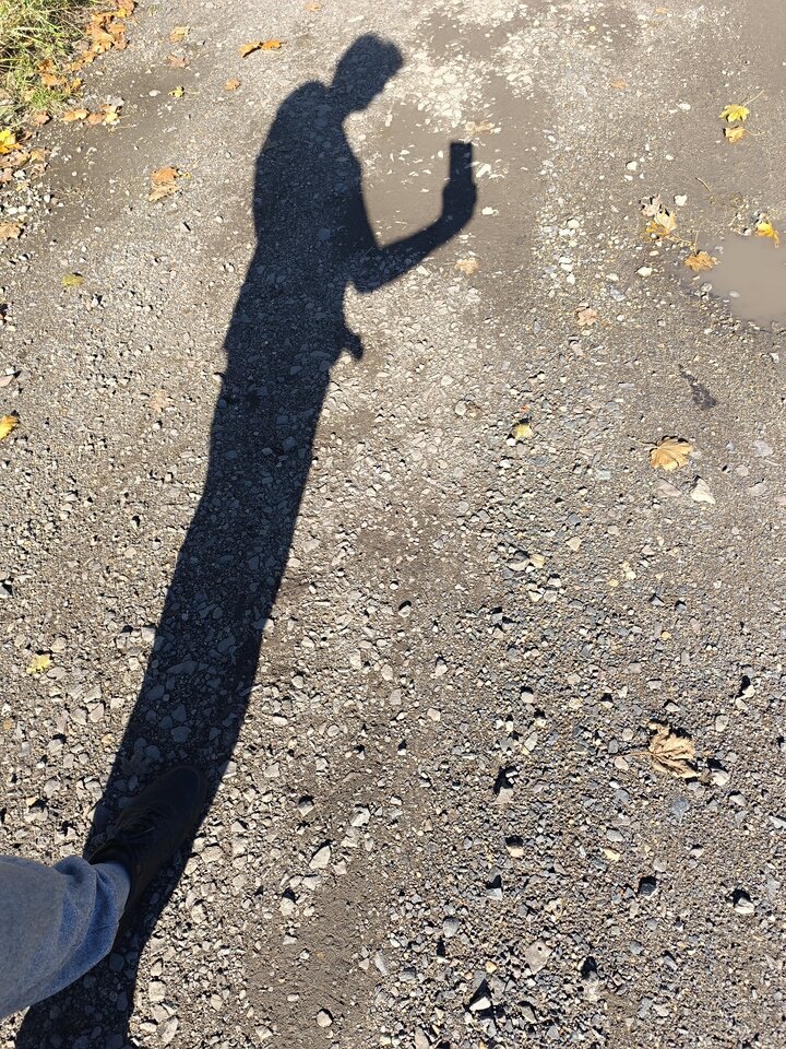 Czy nie tak to leciało..."widziałam orła cień" 😁 - Koputko