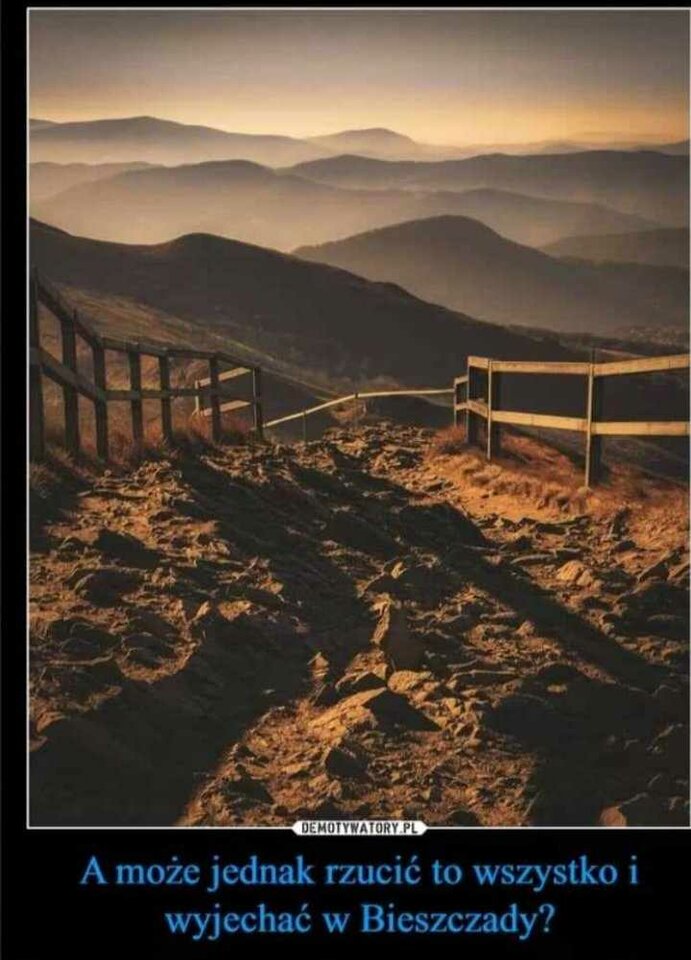 received_1065941314982005.jpeg - sloneczniki40