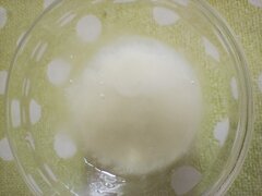 IMG_20241017_111151769.jpg