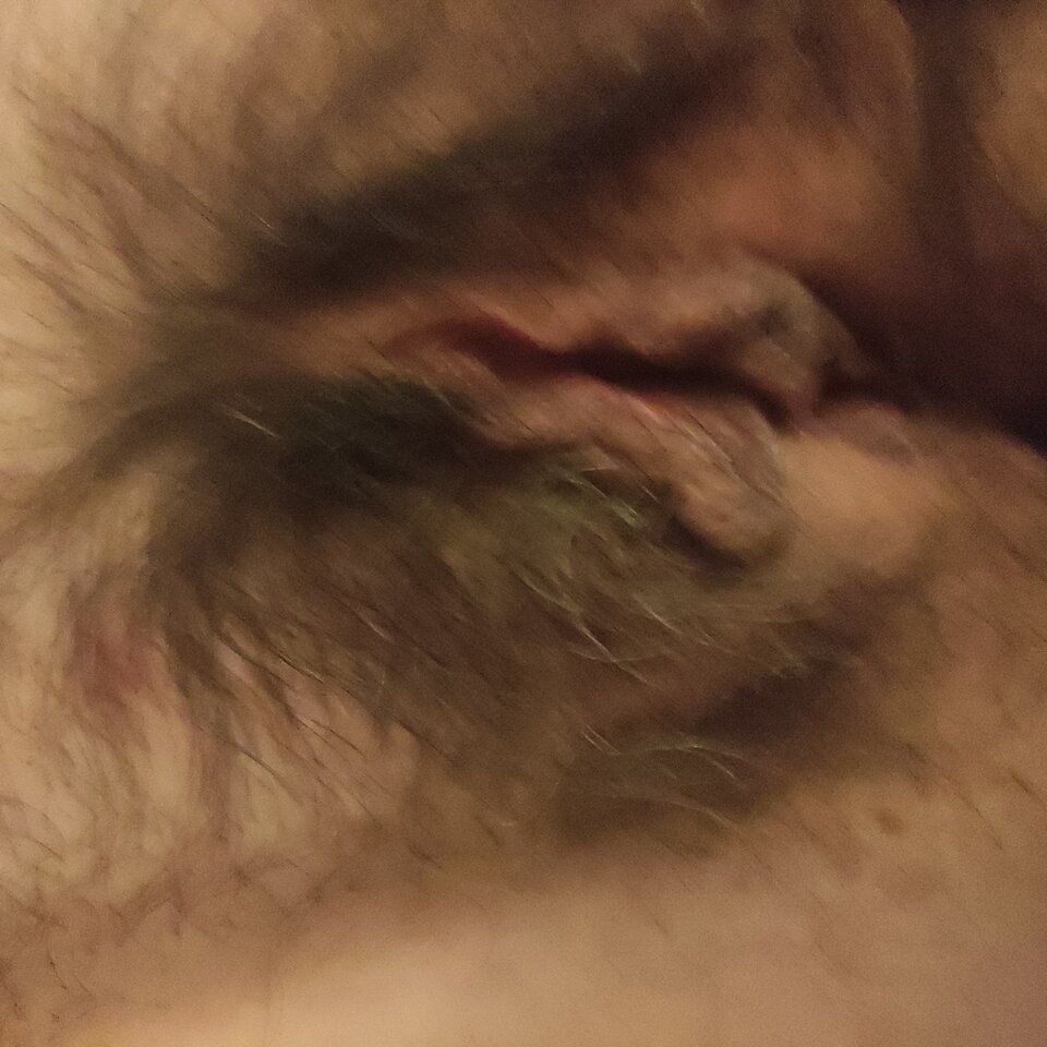 1000001385.jpg - Sobelki7879
