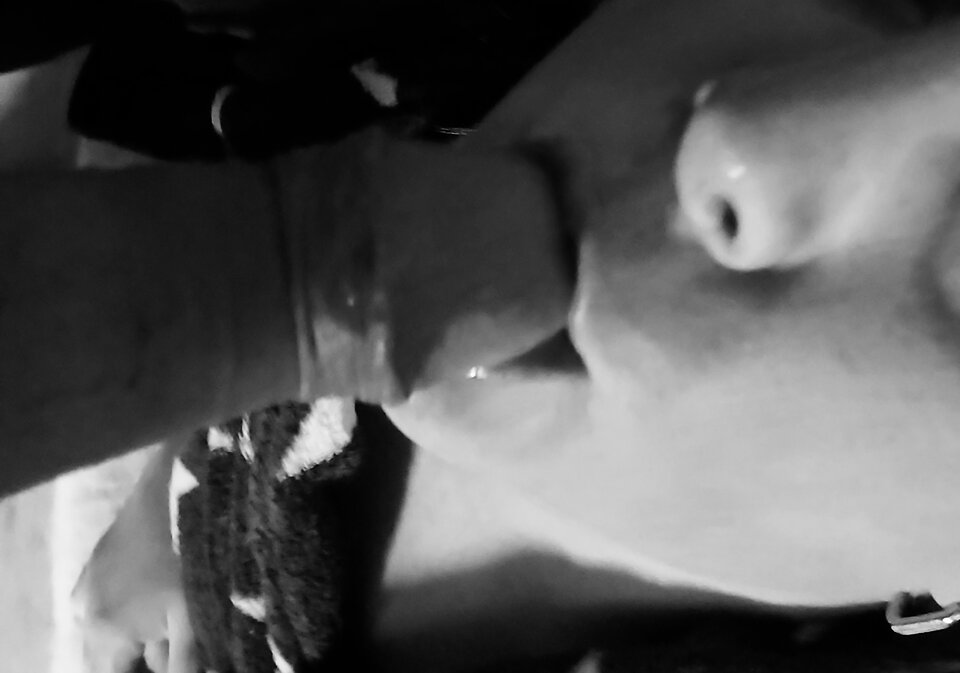 1000010256.jpg - Rownolegle69