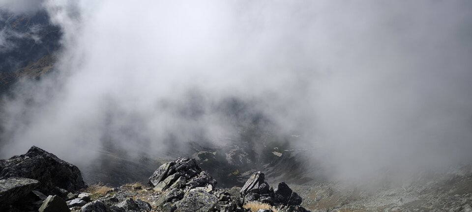 1000011295.jpg - Mlodyzduzym777