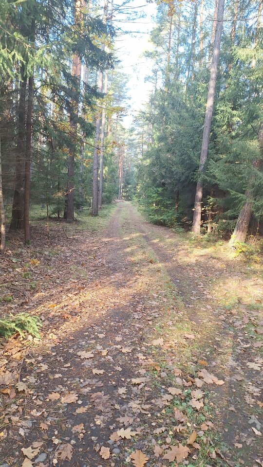 1000015452.jpg - Kalburator