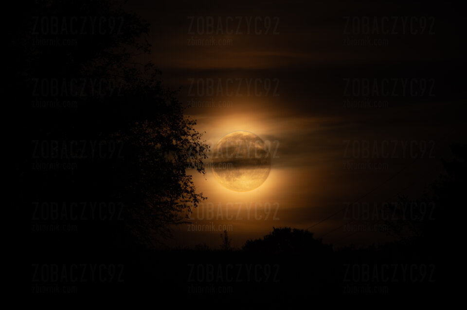 1000047341.jpg - zobaczyc92