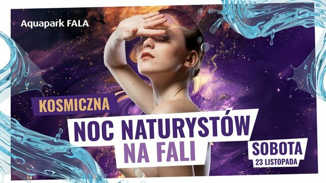 nnt1.jpg - kotimysza