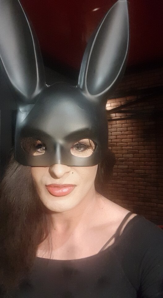 20241018_223455.jpg - TransKitty