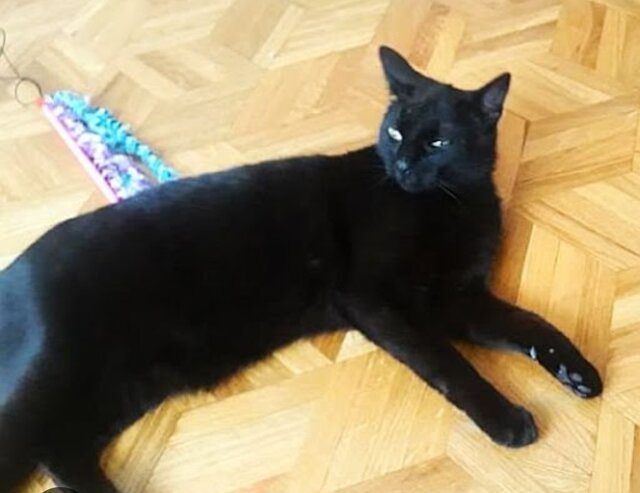 pawelbardosmalec78ARTYSTA