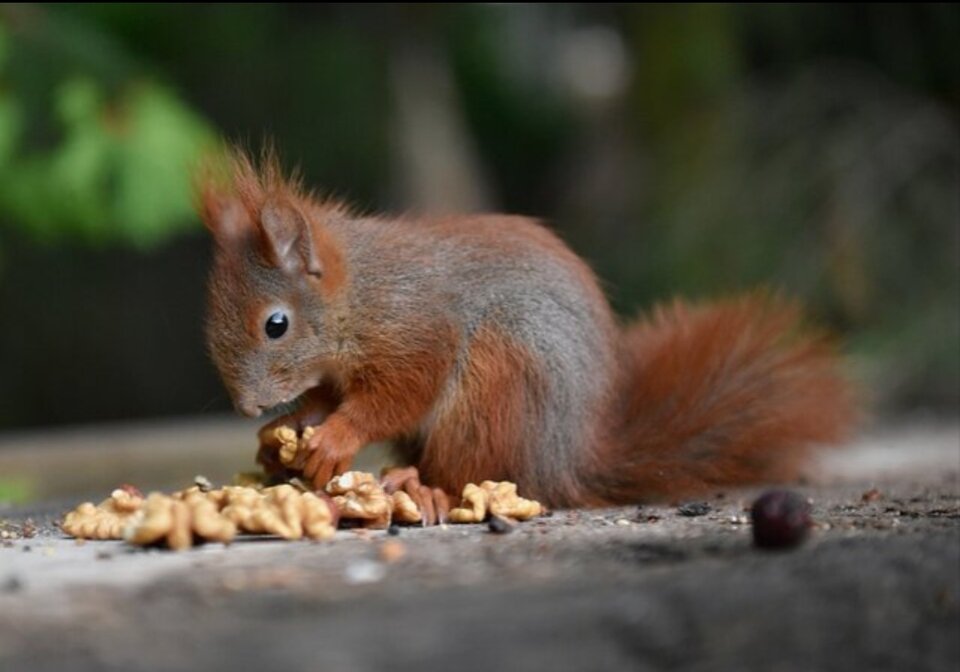 Screenshot_20241019_163747.jpg - pawelbardosmalec78ARTYSTA