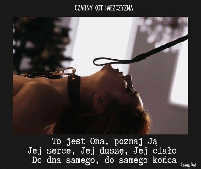 FB_IMG_1729352463567.jpg - PyzaLowiczanka