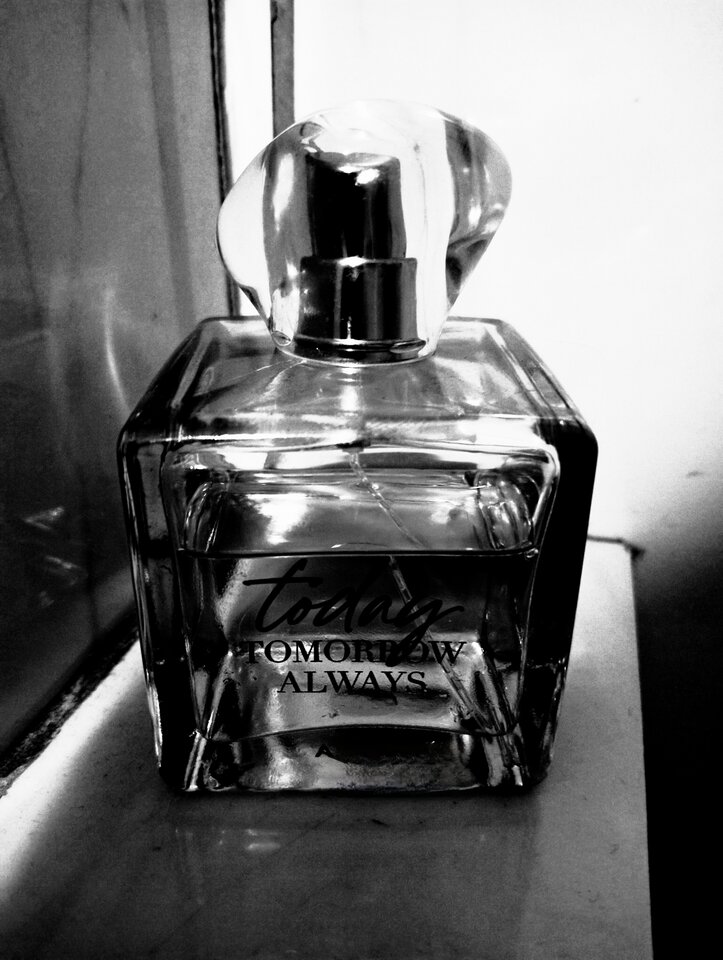 IMG_20241020_005703.jpg - Scartett