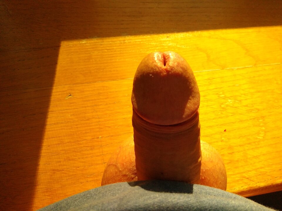 1729421749211.jpg - Tyndal69