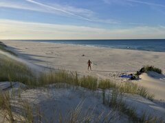 Październikowe dębkowanie/opalanie (p.s. jest ciepło😁)