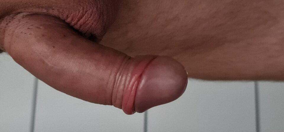 20241020_173548.jpg - skowronki4033