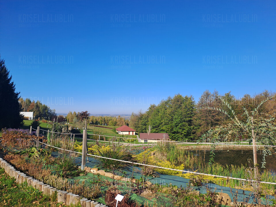 1000009108.jpg - KRISELLALUBLIN