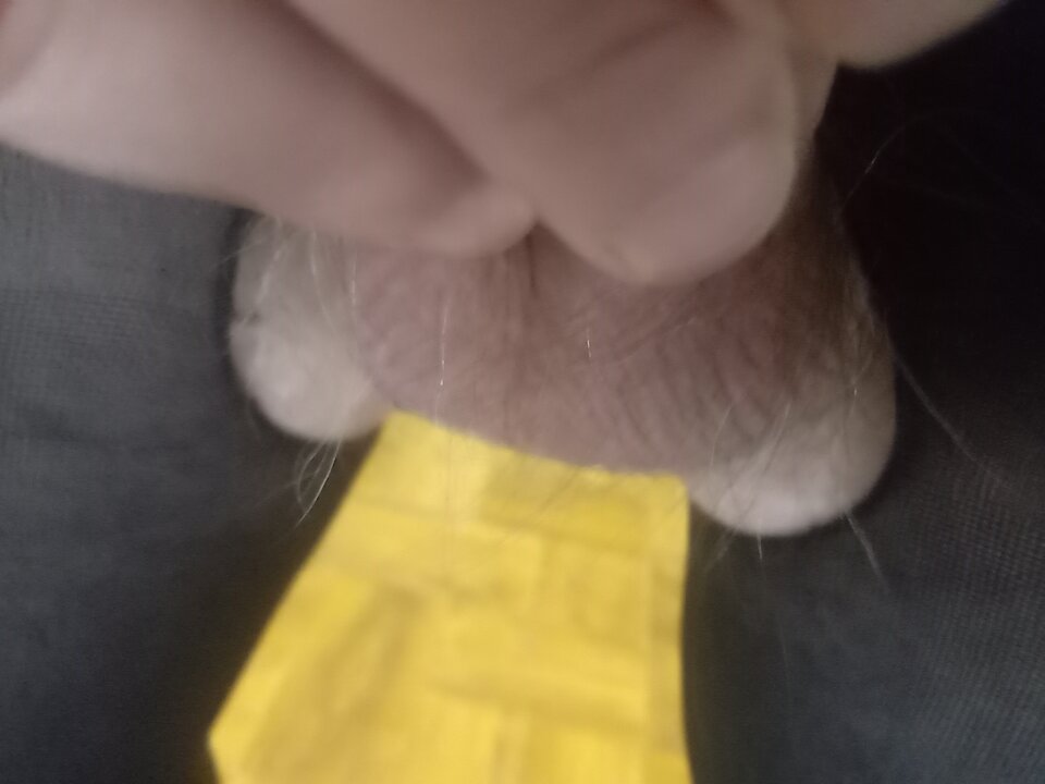 IMG_20241020_164208.jpg - 721125J