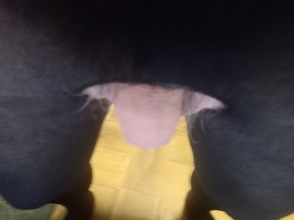 IMG_20241020_163923.jpg - 721125J