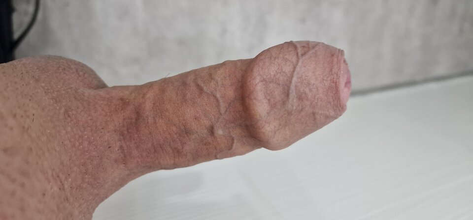 17295174778296064654297362338872.jpg - robin266