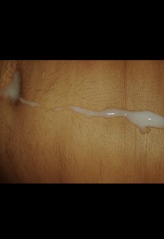 IMG_9505.jpeg