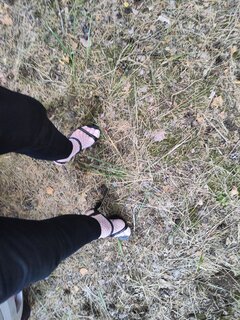 IMG20220907073443.jpg