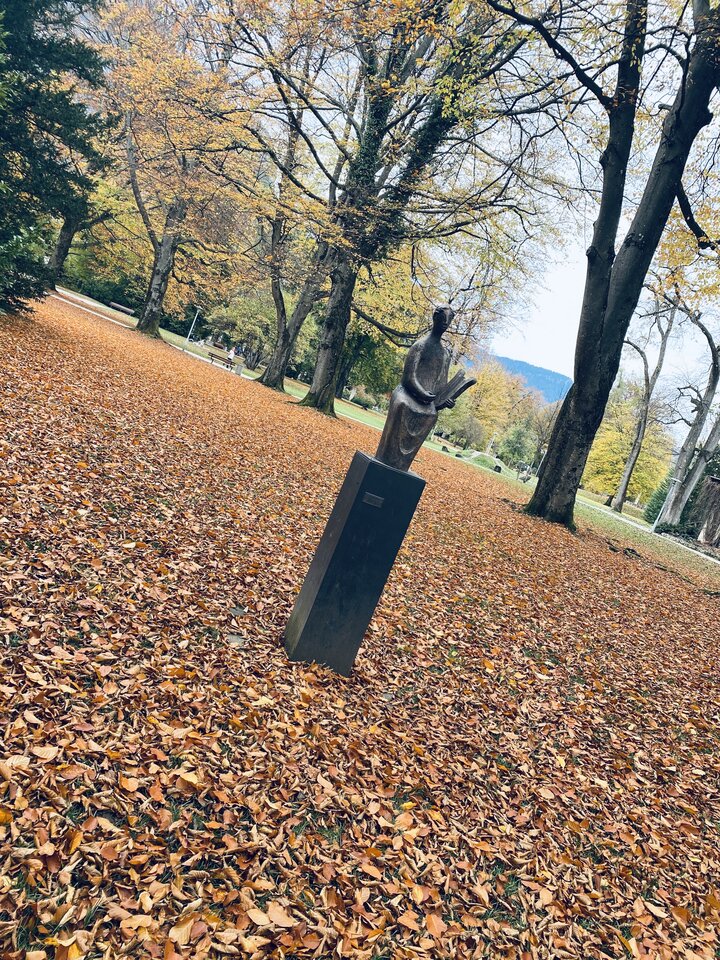 IMG_8437.jpeg - May_Day