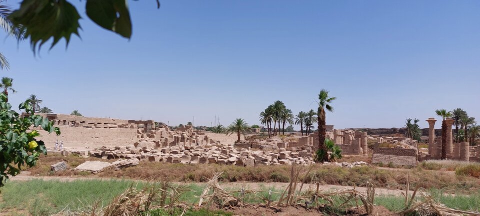 20240428_112356.jpg - Wrobelek1965