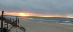 IMG_20241022_172804.jpg
