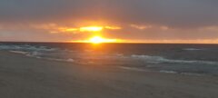 IMG_20241022_172936.jpg