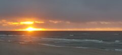 IMG_20241022_172938.jpg